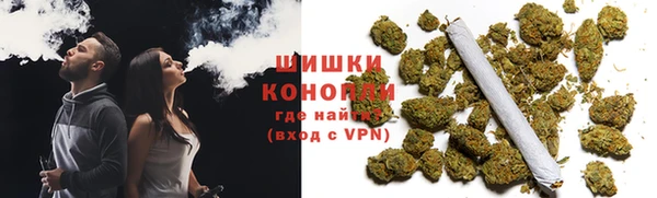 дживик Богородск