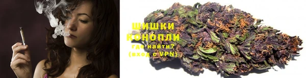 СК Белокуриха