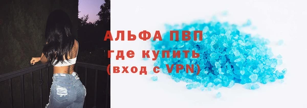 СК Белокуриха