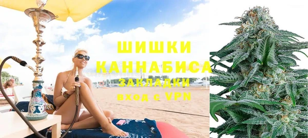 мдпв Богданович