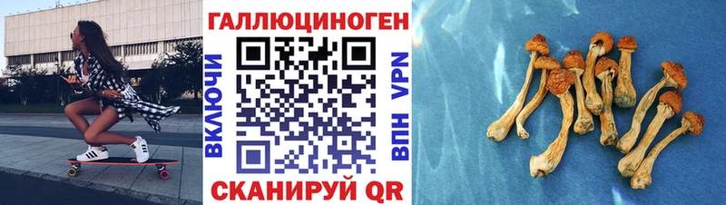 shop Telegram mega как зайти Плёс Псилоцибиновые грибы MAGIC MUSHROOMS